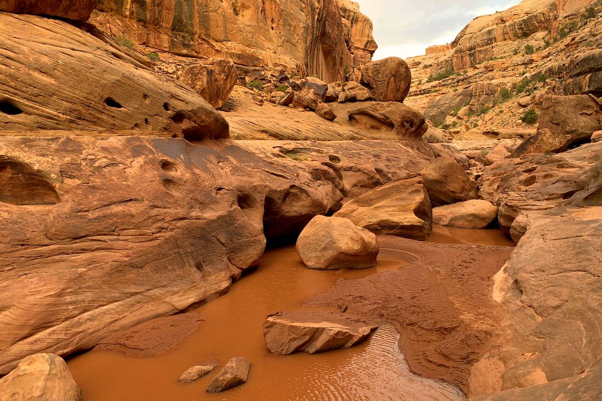 White Canyon
